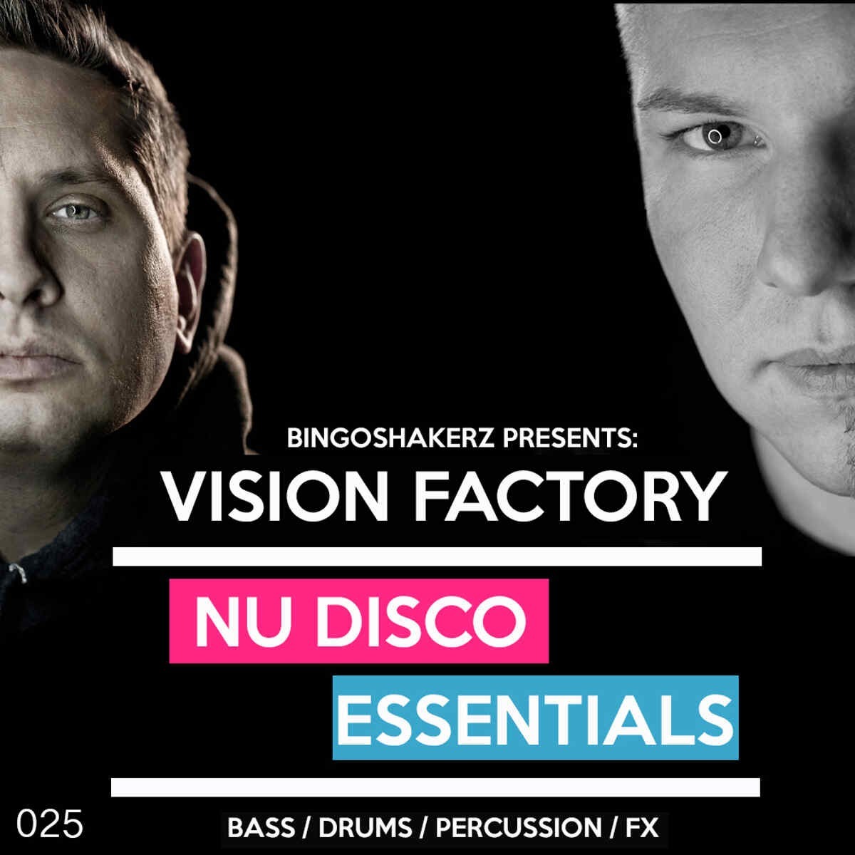 Bingoshakerz - Vision Factory: Nu Disco Essentials Sample Packs Software GUI Artwork